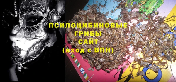 скорость Новодвинск