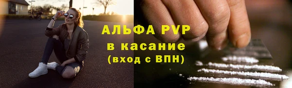 сатива Алзамай