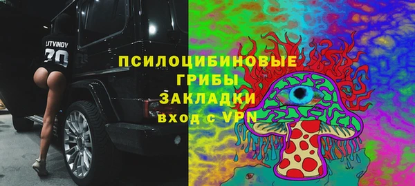 сатива Алзамай