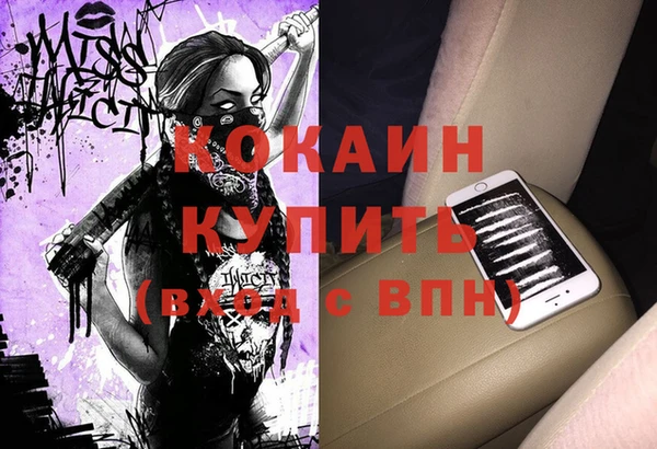 сатива Алзамай